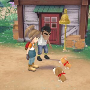 STORY OF SEASONS: A Wonderful Life. Изображение 2
