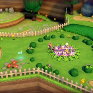 Raccoo Venture. Изображение 2