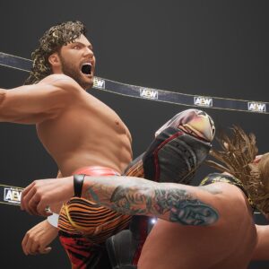 AEW: Fight Forever. Изображение 2