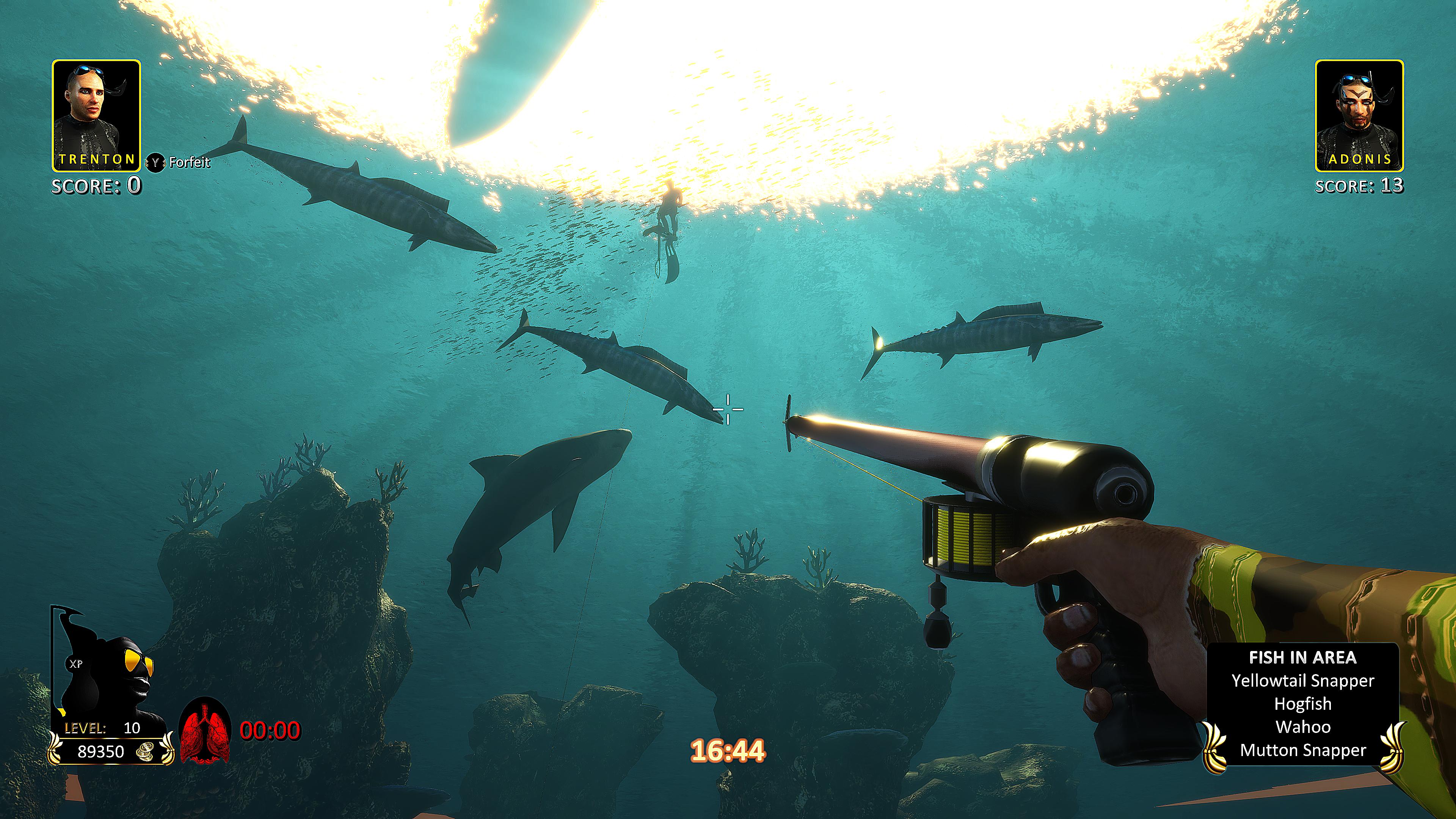 Freediving Hunter: Spearfishing the World. Изображение 2