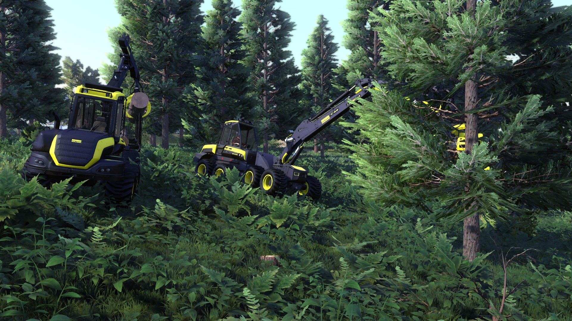 Lumberjack