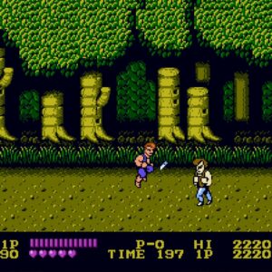 DOUBLE DRAGON. Изображение 2