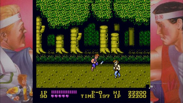DOUBLE DRAGON. Изображение 2