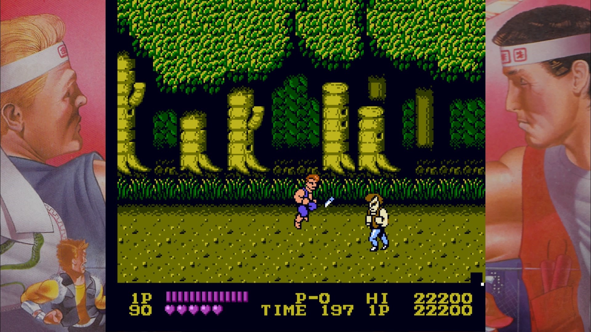 DOUBLE DRAGON. Изображение 2