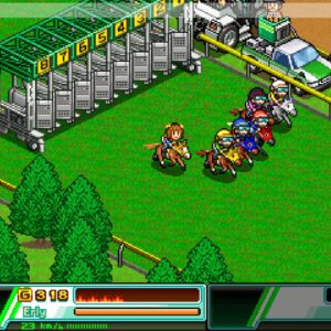 Pocket Stables. Изображение 4