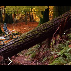 World Enduro Rally. Изображение 2