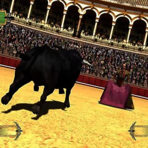 Toro. Изображение 4