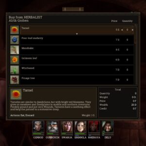 Realms of Arkania: Blade of Destiny. Изображение 4