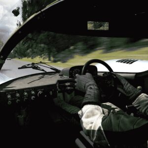 Assetto Corsa Ultimate Edition. Изображение 4