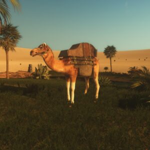 Starsand. Изображение 4