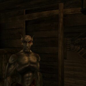 The Elder Scrolls III: Morrowind. Изображение 3