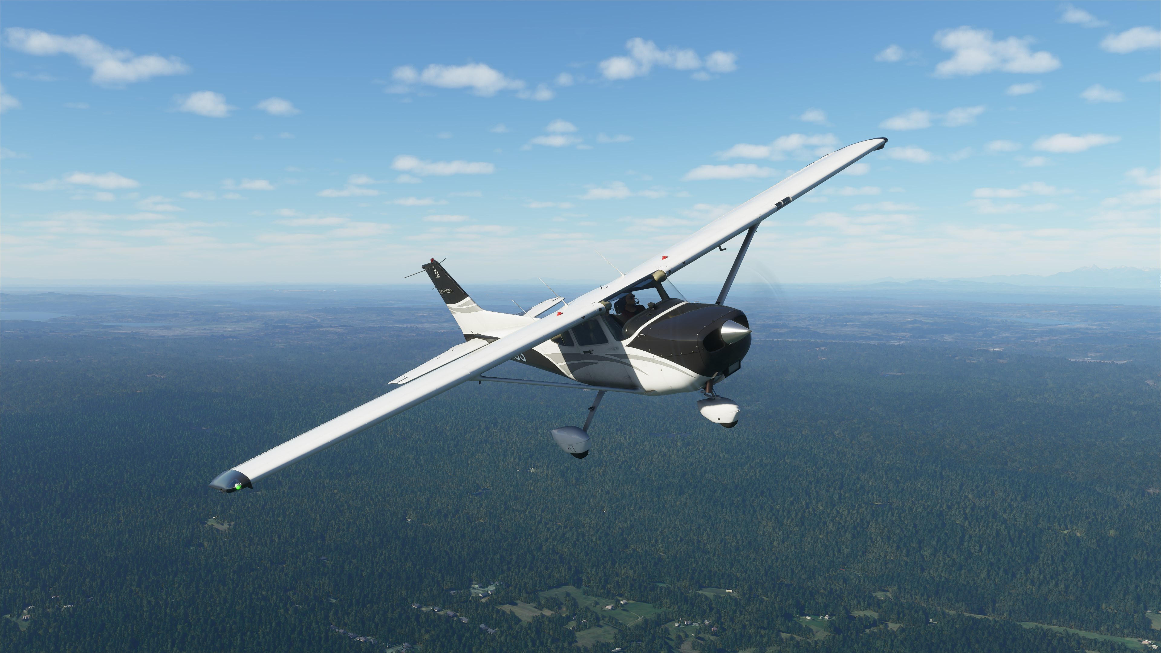 Microsoft Flight Simulator Deluxe 40th Anniversary Edition. Изображение 4