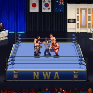 RetroMania Wrestling. Изображение 2