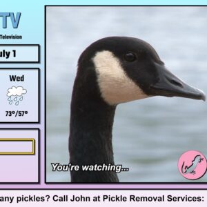 Salamander County Public Television. Изображение 4