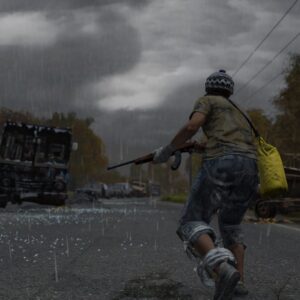 DayZ. Изображение 2