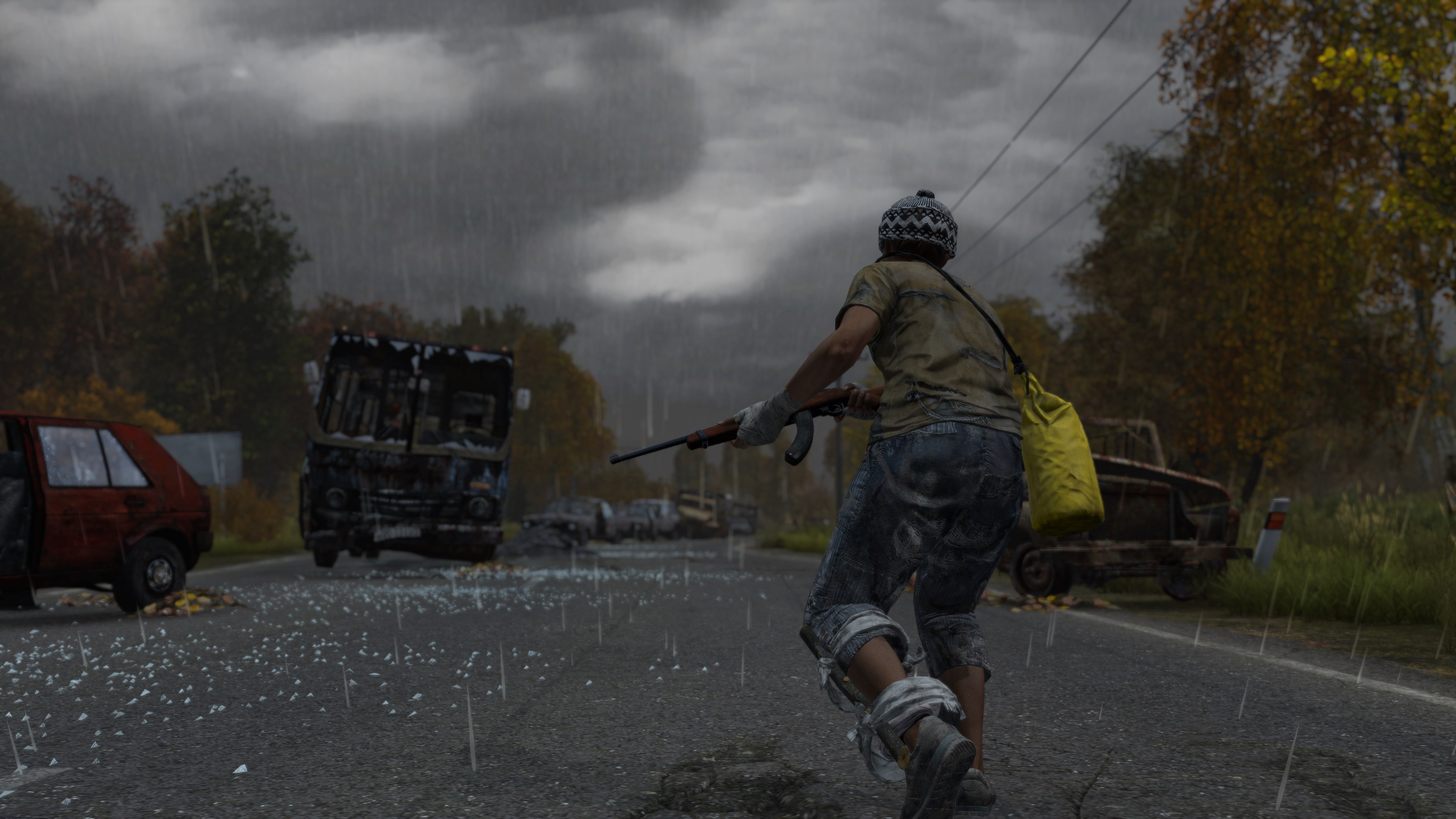 DayZ. Изображение 2