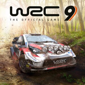 WRC 9 FIA World Rally Championship. Изображение 1