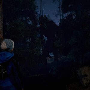 Through the Woods. Изображение 3