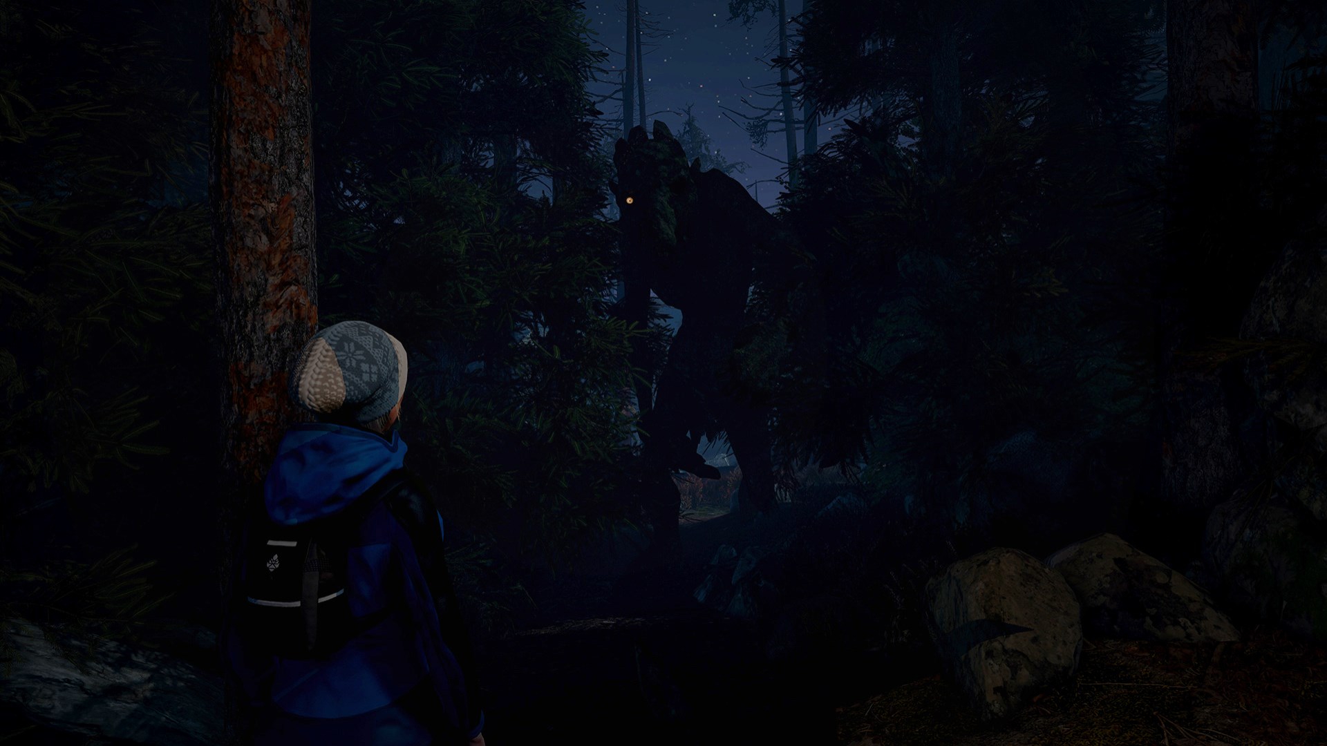 Through the Woods. Изображение 3