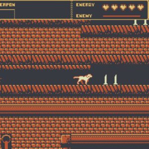 Wild Dogs. Изображение 4