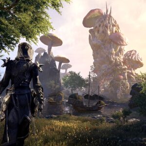 The Elder Scrolls® Online. Изображение 4
