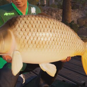 Fishing Sim World®: Pro Tour - Collector's Edition. Изображение 3