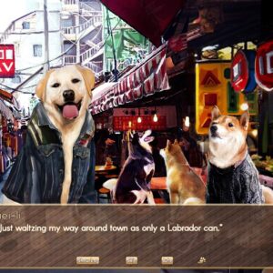 A Summer with the Shiba Inu. Изображение 3