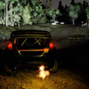 WRC 5 eSports Edition. Изображение 3