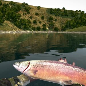 Ultimate Fishing Simulator. Изображение 2