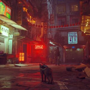 Stray. Изображение 2