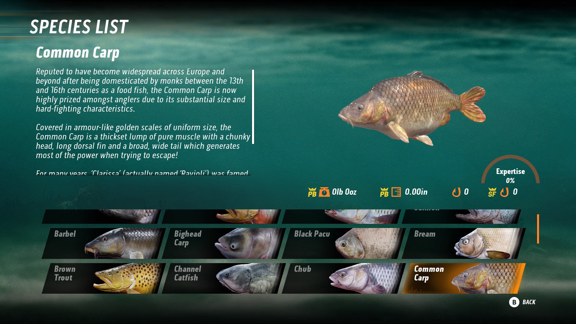 The Catch: Carp & Coarse - Collector