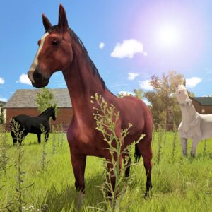 My Little Riding Champion. Изображение 4