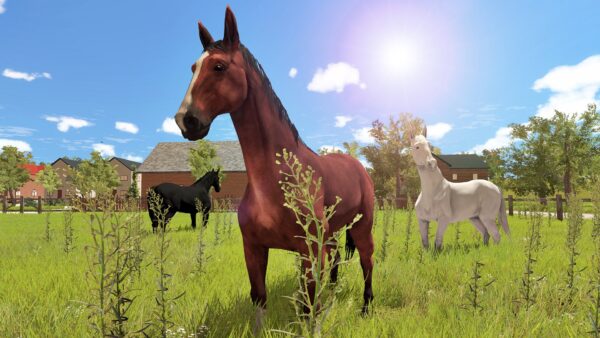 My Little Riding Champion. Изображение 4