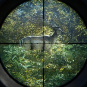 theHunter: Call of the Wild™. Изображение 3