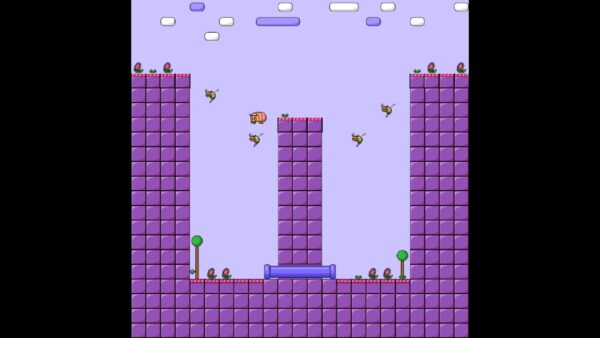 Butterfly. Изображение 2