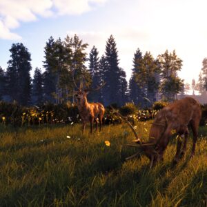 Windstorm: Start of a Great Friendship - Remastered. Изображение 4