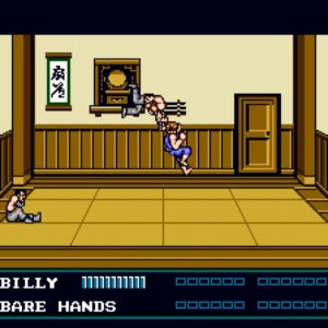 DOUBLE DRAGON Ⅲ: The Sacred Stones. Изображение 3