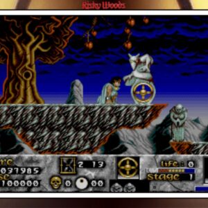 Risky Woods (QUByte Classics). Изображение 2