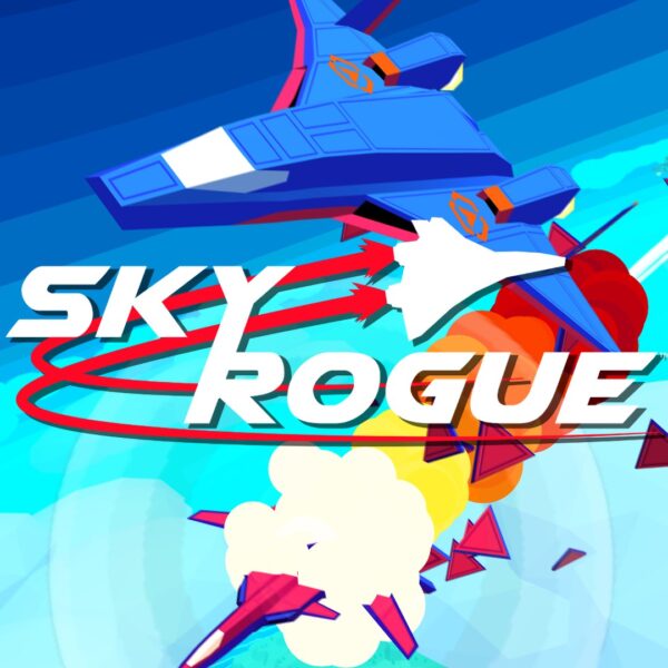 Sky Rogue. Изображение 1