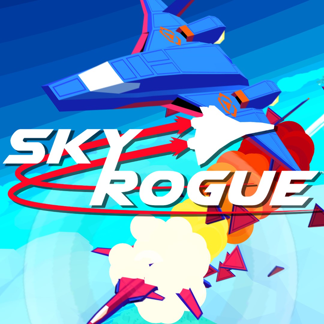 Sky Rogue. Изображение 1