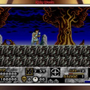 Risky Woods (QUByte Classics). Изображение 3