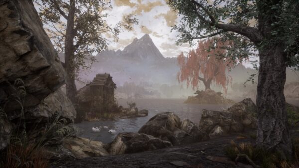 The Dead Tree of Ranchiuna. Изображение 2