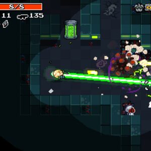 Nuclear Throne. Изображение 2