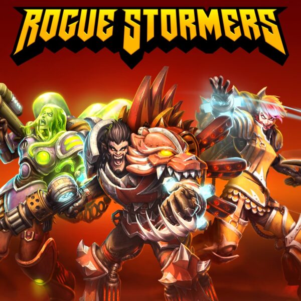 Rogue Stormers. Изображение 1
