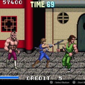 DoubleDragon Advance. Изображение 2