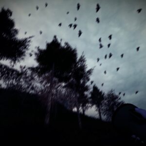Light & Dark Bundle. Изображение 3