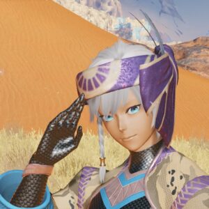 PSO2:NGS - Fiery Dunes Retem/Type 1 Edition. Изображение 3