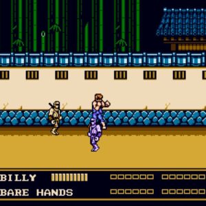 DOUBLE DRAGON Ⅲ: The Sacred Stones. Изображение 2