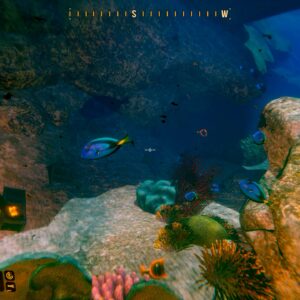 Deep Diving Adventures. Изображение 4