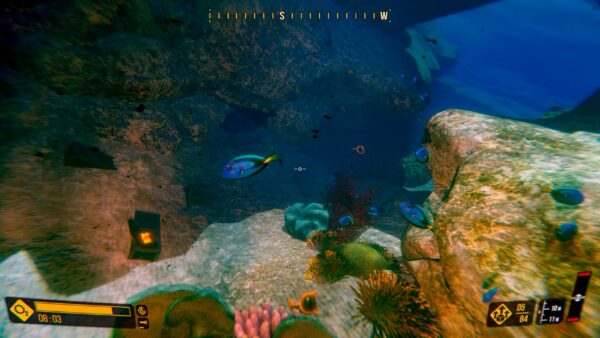 Deep Diving Adventures. Изображение 4